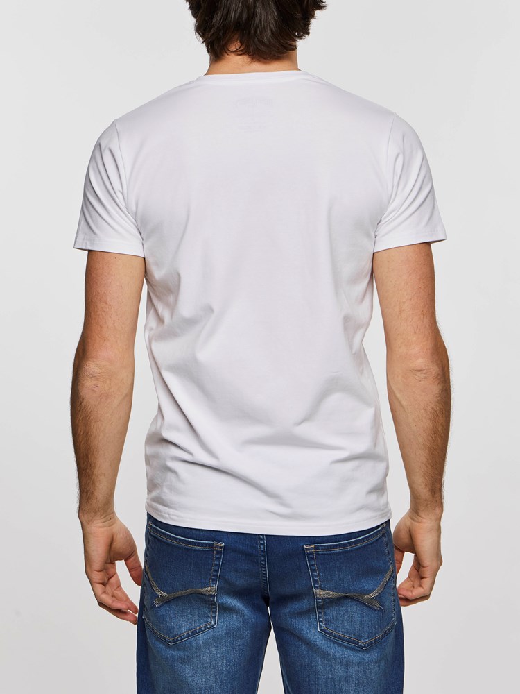 2-Pack V-Neck T-Skjorte 7204008_OAA_HenryChoice_noos-modell-back_2-Pack V-Neck T-Skjorte OAA.jpg_Back||Back