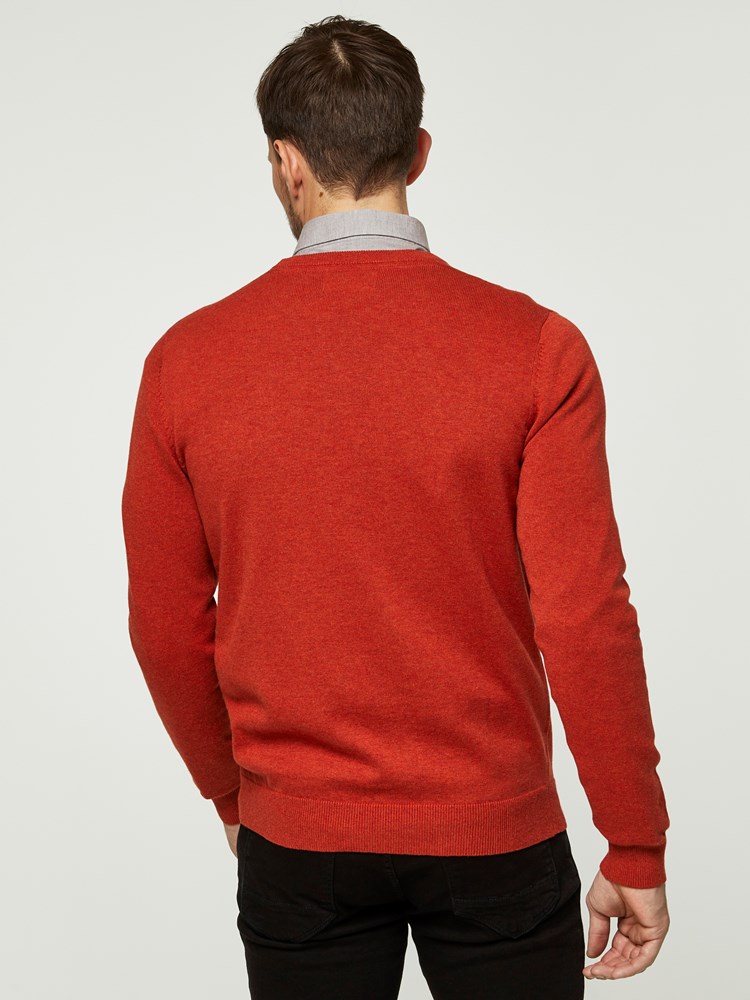 DAMMERS GENSER 7242351_AHW-HENRYCHOICE-S20-Modell-back_20789_DAMMERS GENSER AHW.jpg_Back||Back