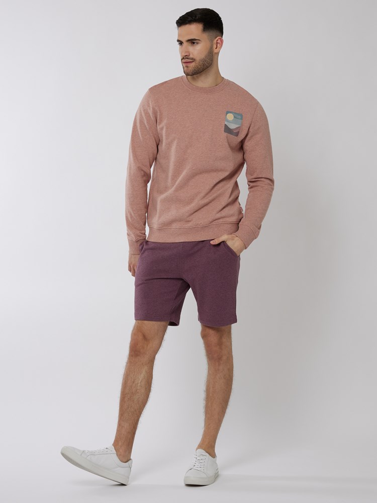 Toby collegegenser 7249946_MPK-HENRYCHOICE-H22-Modell-Front_chn=boys_4721_Toby collegegenser MPK.jpg_
