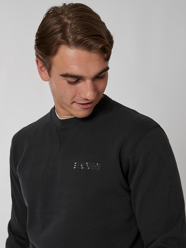 Signature collegegenser 7501021_C31-WOSNOTWOS-A22-details_chn=boys_4288_Signature collegegenser C31_Signature collegegenser C31 7501021.jpg_