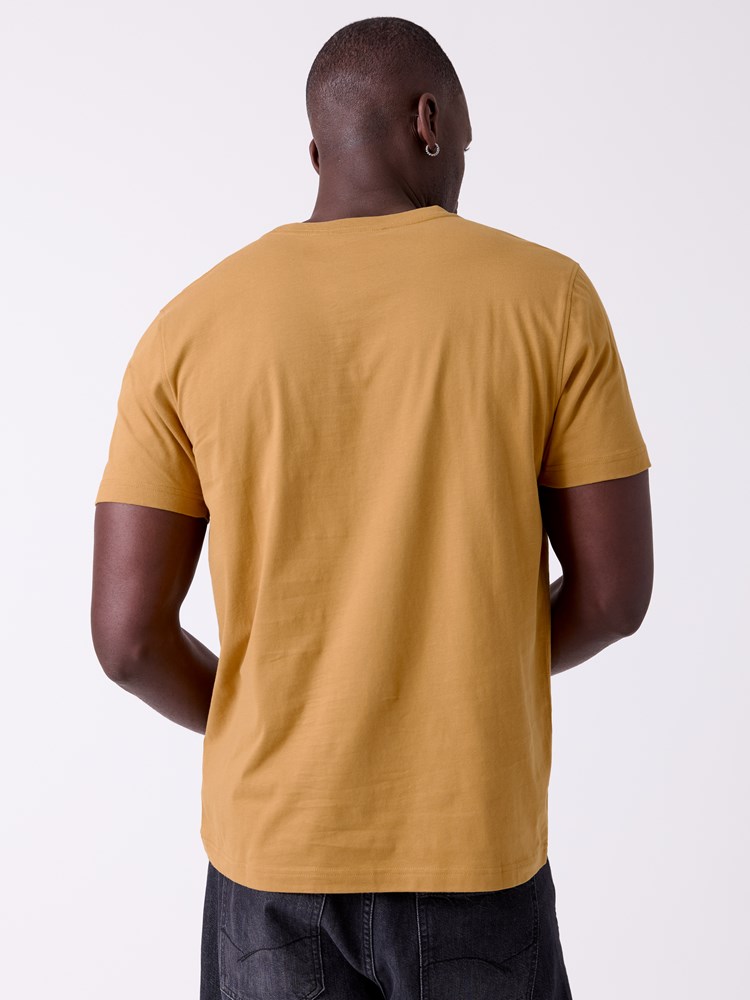 Peak t-shirt 7513838 AEN Wood Thrush 29_Peak t-shirt AEN.jpg_