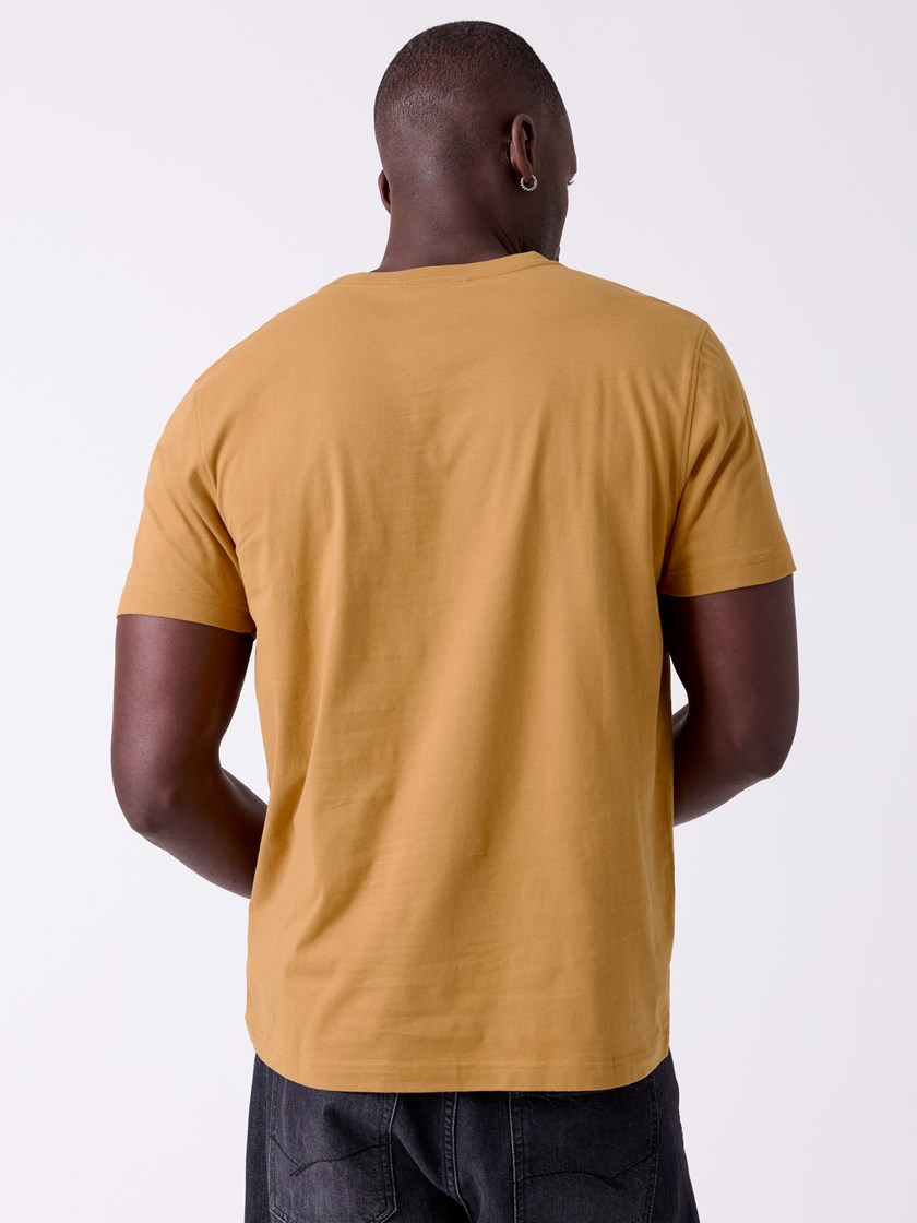 7513838 AEN 7513838 AEN Wood Thrush 29_Peak t-shirt AEN.jpg_