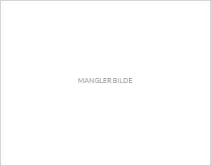 Regular Ralph vintage 7515501 1_Regular Ralph vintage DAF.jpg_