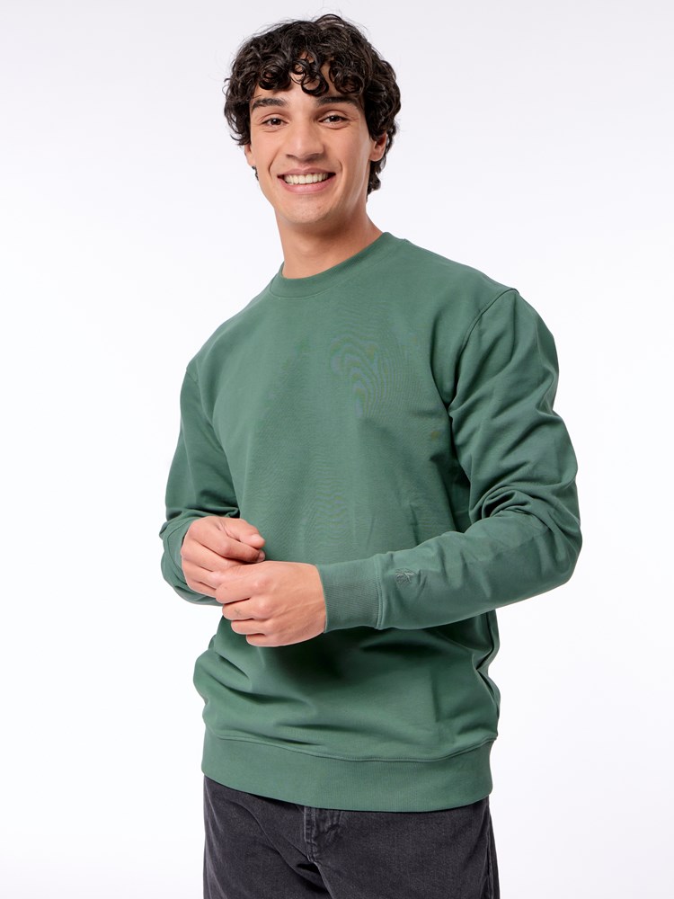 Mjuk collegegenser Mjuk collegegenser GUI Cilantro 15.jpg_