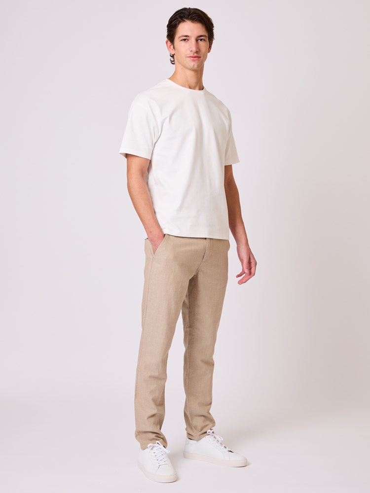 Regular colino chino Regular colino chino AEI 3.jpg_