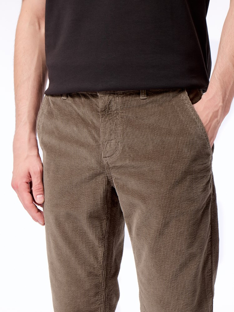 Regular cord chino Regular cord chino APR Morel 26.jpg_